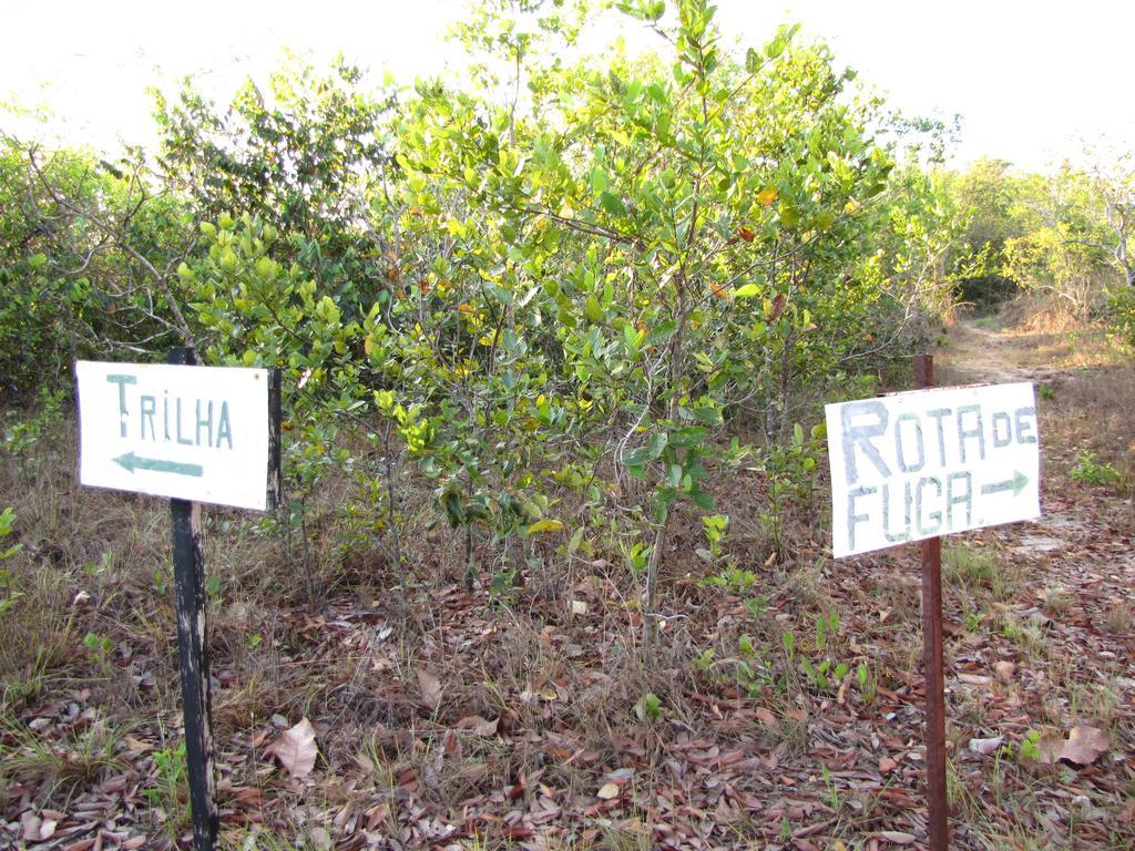 Hotel Fazenda Arara Azul Carolina  Ngoại thất bức ảnh