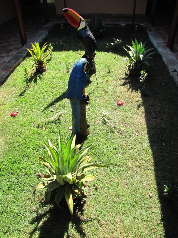 Hotel Fazenda Arara Azul Carolina  Ngoại thất bức ảnh