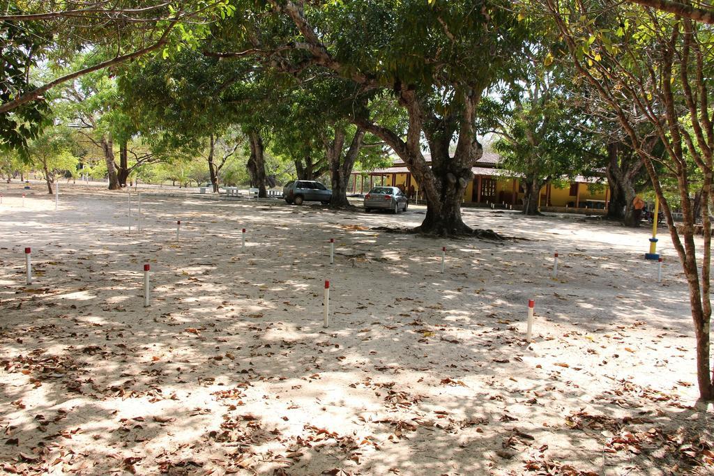 Hotel Fazenda Arara Azul Carolina  Ngoại thất bức ảnh