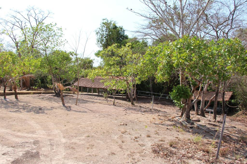 Hotel Fazenda Arara Azul Carolina  Ngoại thất bức ảnh